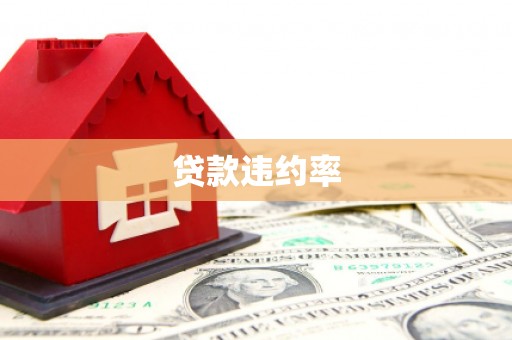 永清贷款违约率