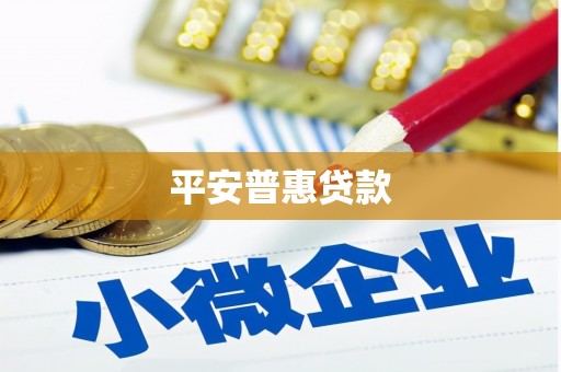 永清平安普惠贷款
