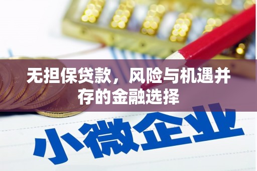 永清无担保贷款，风险与机遇并存的金融选择