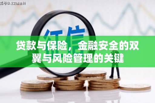 永清贷款与保险，金融安全的双翼与风险管理的关键