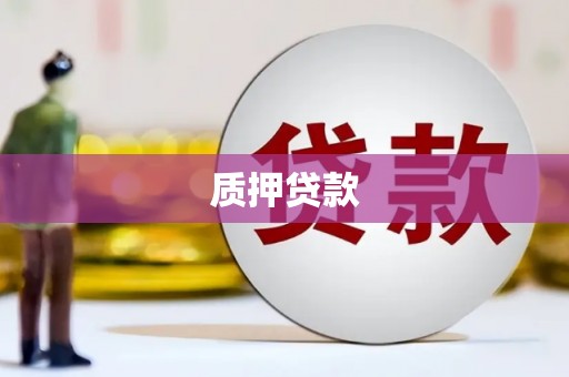 永清质押贷款