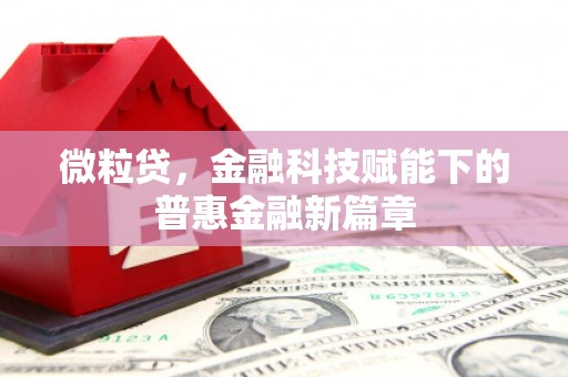 永清微粒贷，金融科技赋能下的普惠金融新篇章