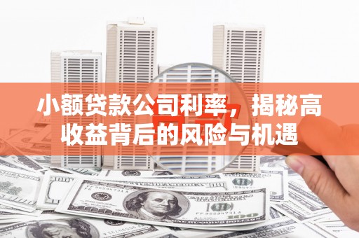 永清小额贷款公司利率，揭秘高收益背后的风险与机遇