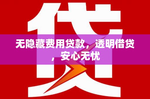永清无隐藏费用贷款，透明借贷，安心无忧