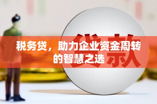 永清税务贷，助力企业资金周转的智慧之选