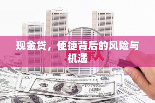 永清现金贷，便捷背后的风险与机遇