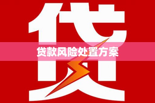 永清贷款风险处置方案