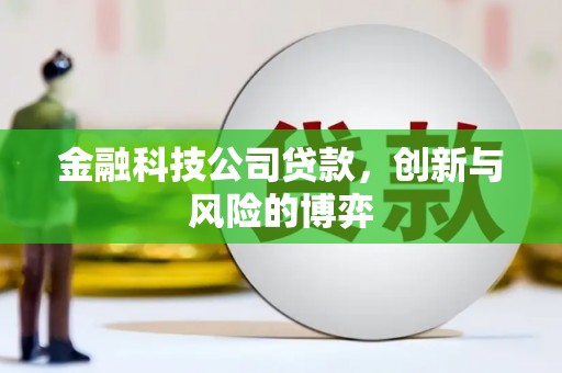 永清金融科技公司贷款，创新与风险的博弈