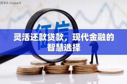永清灵活还款贷款，现代金融的智慧选择