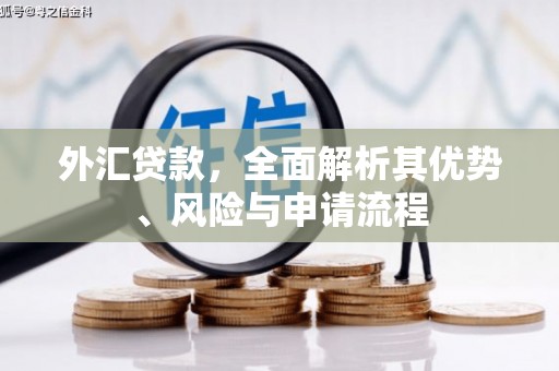 永清外汇贷款，全面解析其优势、风险与申请流程