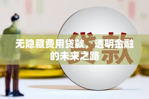 永清无隐藏费用贷款，透明金融的未来之路