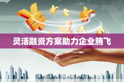 永清灵活融资方案助力企业腾飞