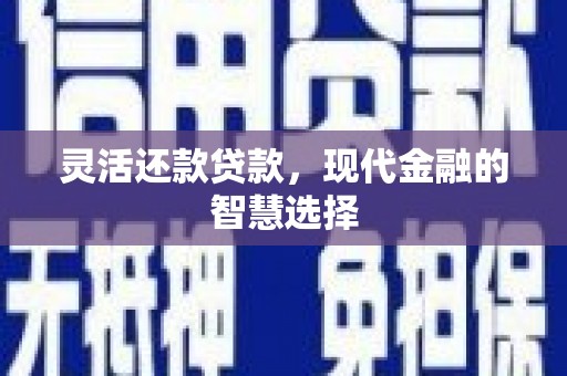永清灵活还款贷款，现代金融的智慧选择