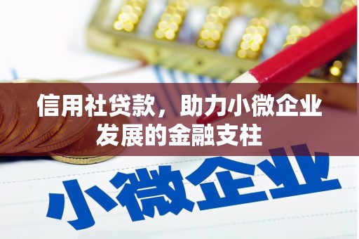 永清信用社贷款，助力小微企业发展的金融支柱