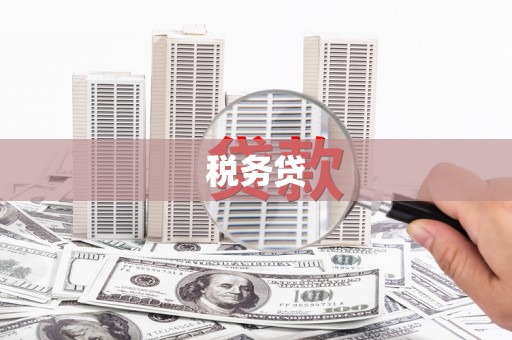 永清税务贷
