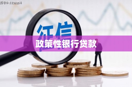 永清政策性银行贷款