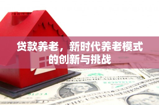 永清贷款养老，新时代养老模式的创新与挑战