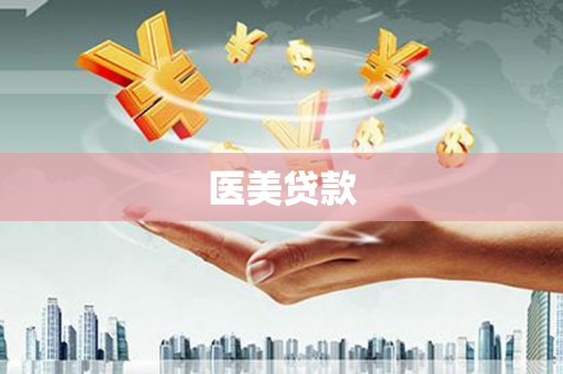 永清医美贷款