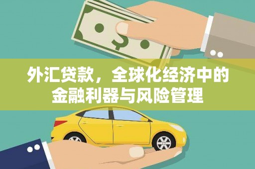 永清外汇贷款，全球化经济中的金融利器与风险管理