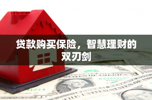 永清贷款购买保险，智慧理财的双刃剑