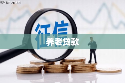 永清养老贷款