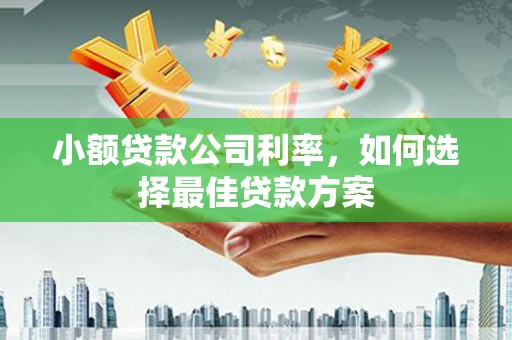 永清小额贷款公司利率，如何选择最佳贷款方案