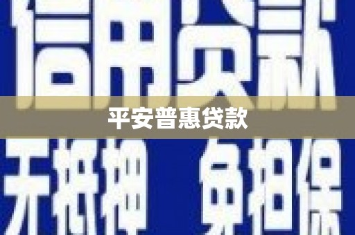 永清平安普惠贷款