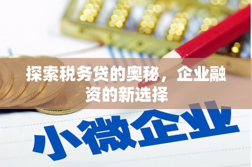 永清探索税务贷的奥秘，企业融资的新选择