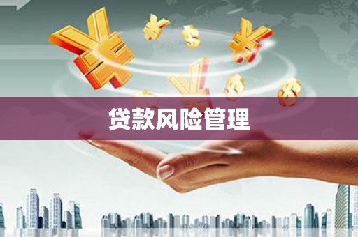 永清贷款风险管理
