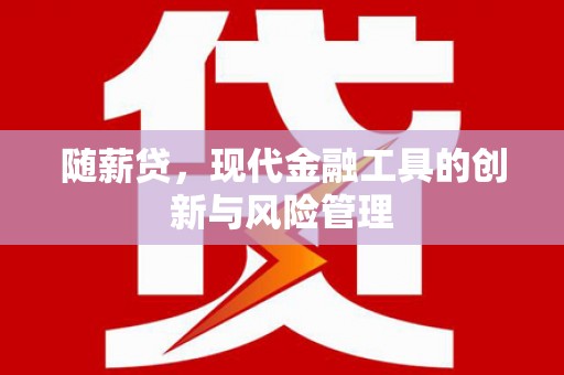 永清随薪贷，现代金融工具的创新与风险管理