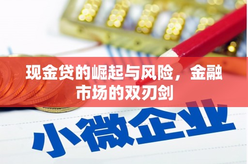 永清现金贷的崛起与风险，金融市场的双刃剑