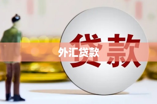 永清外汇贷款