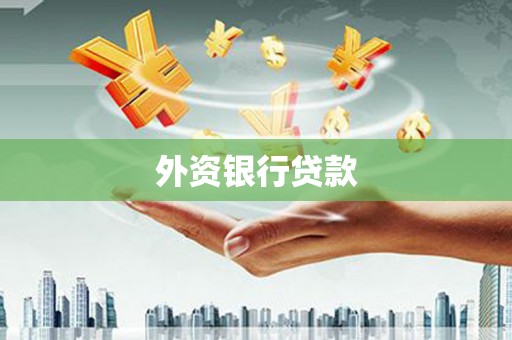 永清外资银行贷款