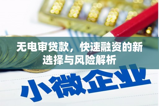 永清无电审贷款，快速融资的新选择与风险解析