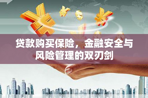 永清贷款购买保险，金融安全与风险管理的双刃剑