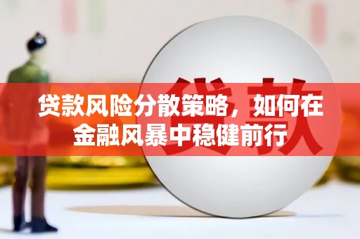 永清贷款风险分散策略，如何在金融风暴中稳健前行