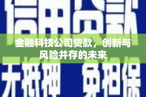 永清金融科技公司贷款，创新与风险并存的未来