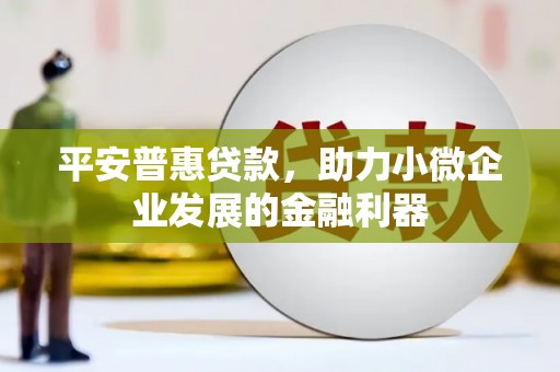 永清平安普惠贷款，助力小微企业发展的金融利器