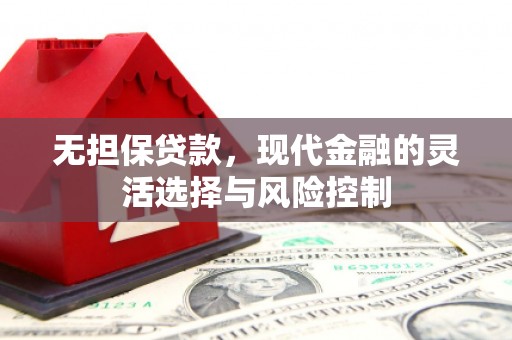 永清无担保贷款，现代金融的灵活选择与风险控制