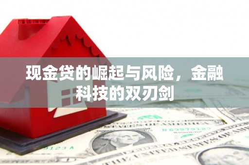 永清现金贷的崛起与风险，金融科技的双刃剑