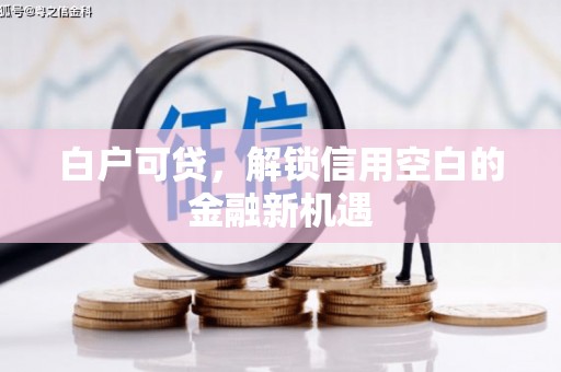 永清白户可贷，解锁信用空白的金融新机遇