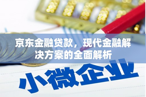 永清京东金融贷款，现代金融解决方案的全面解析