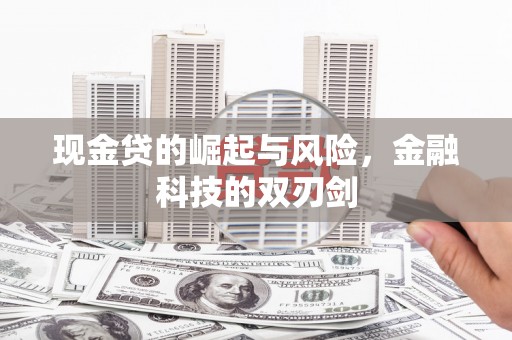 永清现金贷的崛起与风险，金融科技的双刃剑