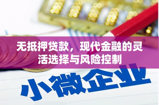 永清无抵押贷款，现代金融的灵活选择与风险控制