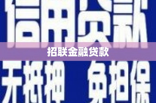 永清招联金融贷款