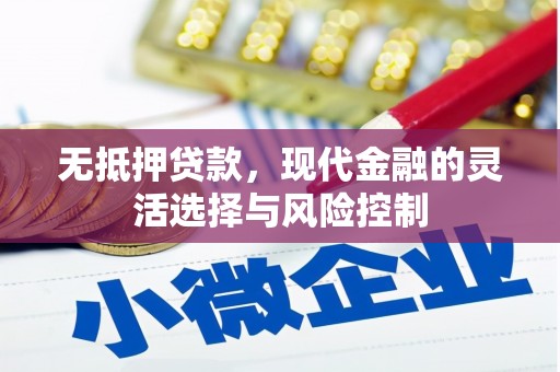 永清无抵押贷款，现代金融的灵活选择与风险控制