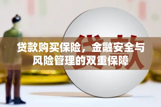 永清贷款购买保险，金融安全与风险管理的双重保障