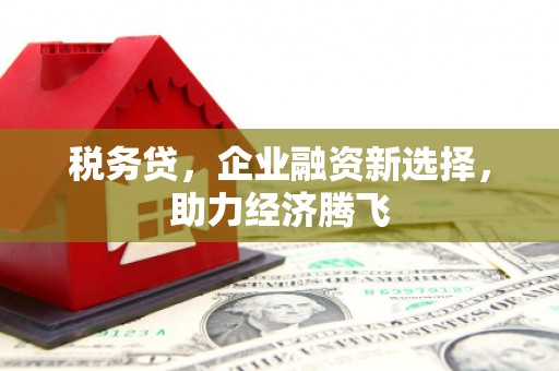永清税务贷，企业融资新选择，助力经济腾飞