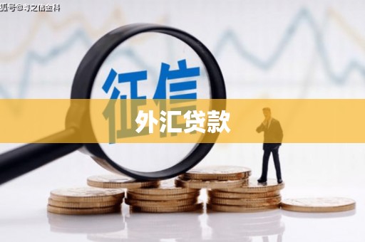 永清外汇贷款