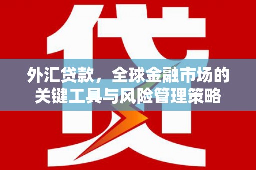 永清外汇贷款，全球金融市场的关键工具与风险管理策略